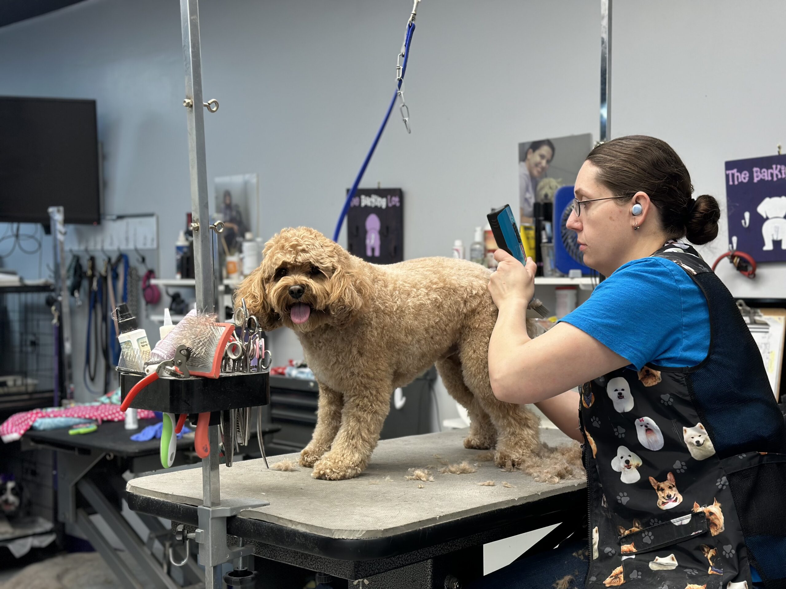 The Barking Lot Premier Tulsa Dog and Pet Grooming